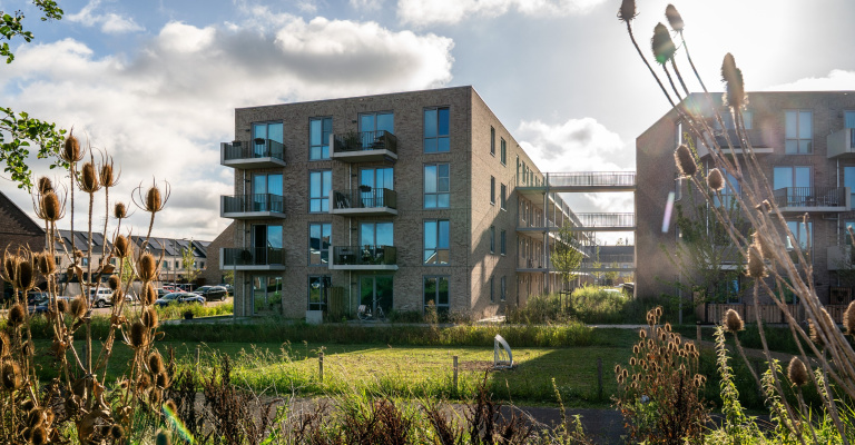 Lunchsessie algemeen